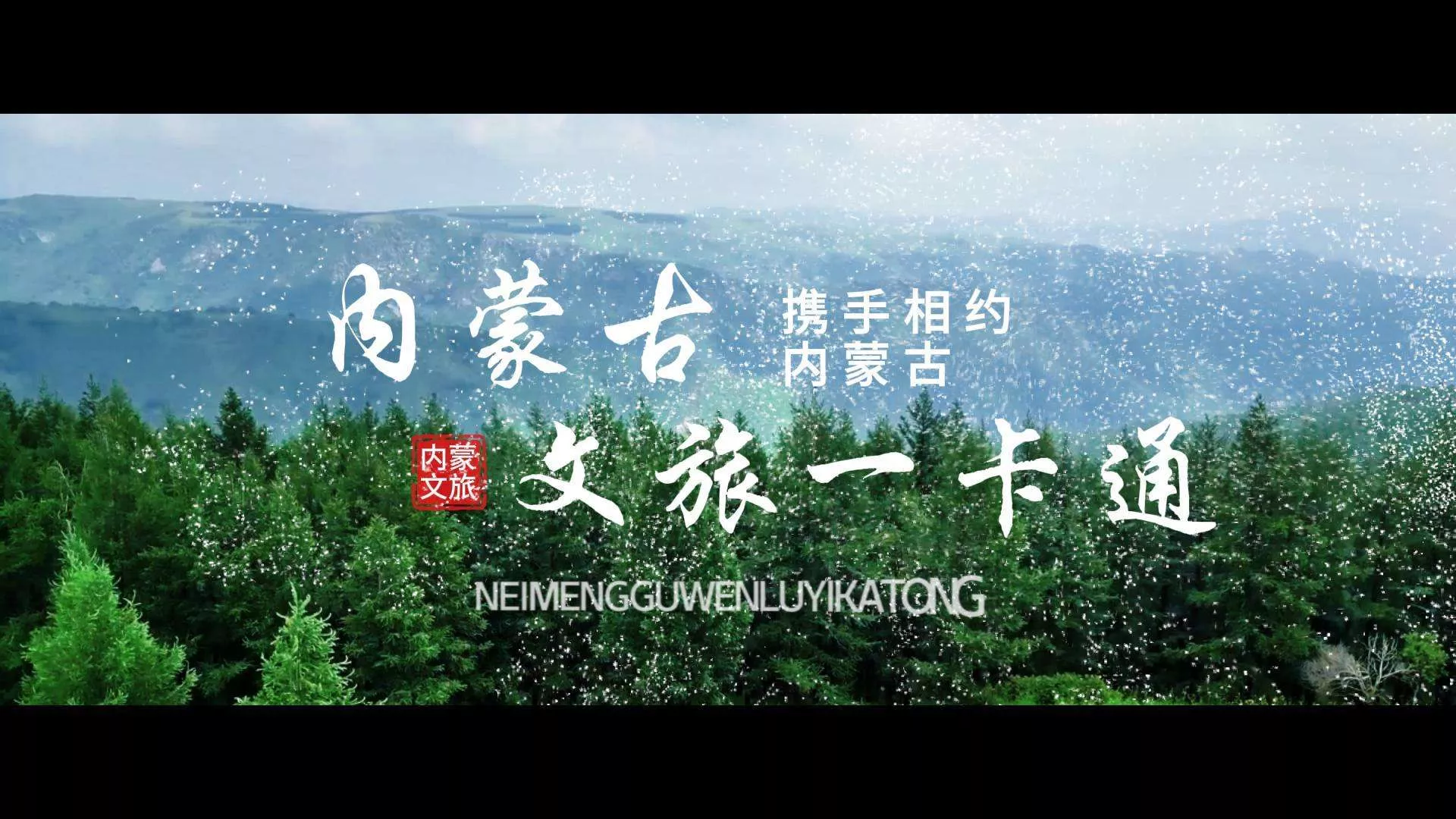 文旅卡点类